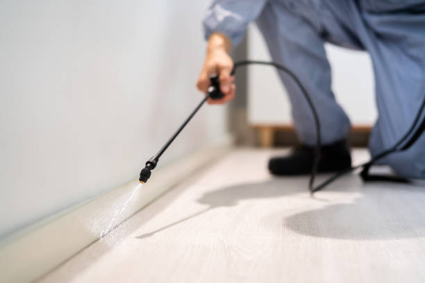 Flea Control Services in Heartland, TX