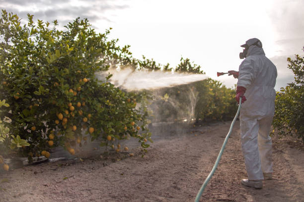 Best Wasp Removal Services  in Heartland, TX