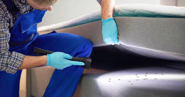 Reliable Heartland, TX Pest Control Solutions