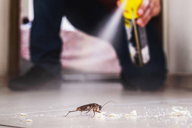 Best Mosquito Control Services  in Heartland, TX
