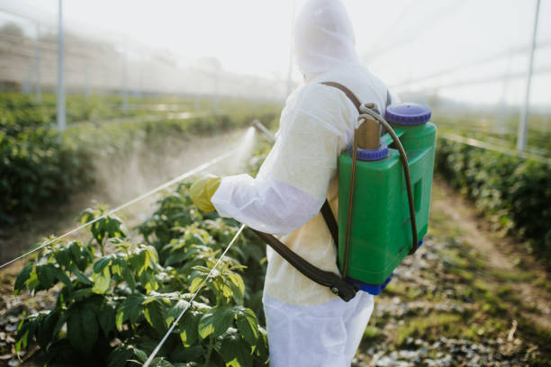 Trusted Heartland, TX Pest Control Experts
